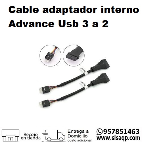 Cable adaptador interno Advance USB3TO2