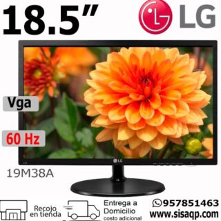 Monitor LG 19M38A, 18.5