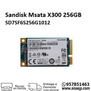 Sandisk Msata X300 256GB