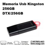 Usb Kingston 256GB DTX256GB