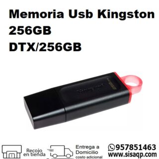 Usb Kingston 256GB DTX256GB