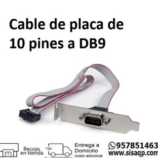 Cable de placa de 10 pines a DB9
