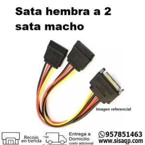 Sata hembra a 2 sata macho